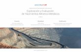Diplomatura Especializada Internacional Exploración y ... · Debido a la dimensión económica de las inversiones involucradas en los proyectos mineros, la prioridad de las empresas