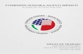 COMISIÓN SONORA-NUEVO MÉXICOSe presentó el proyecto del PIAT en la última reunión interplenaria y se intercambiaron prácticas para la atracción de inversión. 3.2 Nombre: Vincular
