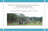 PLAN FORESTAL REGIONAL PATAGÓNICO · Consensuar pautas de manejo forestal y ganadero que, a través de su implementación, permitan avanzar hacia la sustentabilidad del uso del bosque.