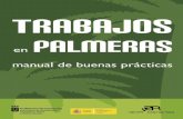 ÍNDICE - Web informativa del Picudo Rojo en Canarias...4 INTRODUCCIÓN La llegada del Rhynchophorus ferrugineus (Olivier), picudo rojo de las palmeras, ha cambiado por completo la