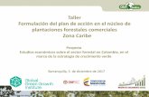 Taller Formulación del plan de acción en el núcleo de ... · Barranquilla, 5 de diciembre de 2017 Taller Formulación del plan de acción en el núcleo de plantaciones forestales