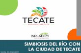 SIMBIOSIS DEL RÍO CON LA CIUDAD DE TECATE · 2019-10-30 · vertedor de cresta libre de 10.00 mts de altura, para almacenar 580,000 mts³ en Río Tecate en Km 17+950, con un área