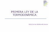 PRIMERA LEY DE LA TERMODINÁMICAdcb.fi-c.unam.mx/CoordinacionesAcademicas/FisicaQuimica... · 2018-09-28 · PRIMERA LEY DE LA TERMO Se llaman estacionarios porque No experimentan