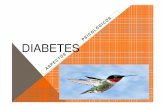 DIABETES - EnPlenitud diabetes.pdf · -desinhibición y cond. temeraria (como una intoxicación alcohólica)-atención disminuida y lábil -somnolencia, lenguaje confuso y lento -síndrome