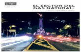 DIRECTORIO - Wecmex€¦ · 8 Gráfica 4-17Costo de extracción por volumen a recuperar de gas natural en yacimientos no convencionales 109 Gráfica 5-1 Demanda nacional de gas natural,