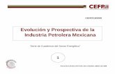 Evolución y Prospectiva de la Industria Petrolera Mexicana · 2008-04-09 · PEMEX, así como un grupo de cuadros estadísticos con series históricas correspondientes al periodo