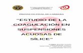 Estudio de la Coagulaci n de las Suspensiones Acuosas de S licezaguan.unizar.es/record/5121/files/TAZ-PFC-2010-192.pdf · 2014-11-28 · resistente y con un alto punto de solubilidad