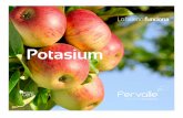 Potasium - QUINTACERAquintacera.com/catalogo/potasium-fervalle.pdf · El 90 % del potasio (K) del suelo no está biodisponible para la planta porque se encuentra retenido en el interior