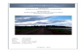 Relatorio de Impacto Ambiental (RIMA) Decreto Nro. 453/2013 …archivo.seam.gov.py/sites/default/files/users/control/... · 2017-01-19 · propiedades físicas del suelo, de los estratos