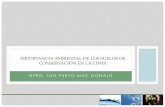 IMPORTANCIA AMBIENTAL DE LOS SUELOS DE ... - PAOT · elemento de estabilización de suelos y conservación de los ciclos hidrológicos y biogeoquímicos. Captura de carbono y retención