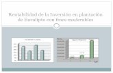 Rentabilidad de Inversiones Forestales en Paraguay...2do Raleo comercial madera (70%) 49 Tala Rasa leña (20%) 64 10 Tala Rasa madera (80%) 256 Volumen Total 420 Ingresos Financieros