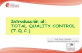 Introducción al: TOTAL QUALITY CONTROL (T.Q.C.) · de procesos 1946 Creación del comité de normas (JIS) 1946 –1970 Nuevo modelo en Japón 1950-2000 Etapa de prevención Control