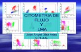 CITOMETRIA DE FLUJO Y lma.pdf · PDF file EMR La detección de EMR por CMF presenta algunas dificultadas debido a la heterogeneidad de los fenotipos leucémicos. Para su detección