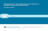 P ANORAMA DE MERCADO DE ROCAS Y MINERALES …cima.minem.gob.ar/assets/datasets/Panorama de mercado CAL... · 2018-12-07 · precio del coque en el caso de los pequeños productores.