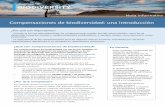 Compensaciones de biodiversidad: una introducción · 2017-08-09 · Aún después de que los pasos en la jerarquía de mitigación de evitar, minimizar y restaurar hayan sido aplicados