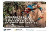Efectos locales y globales de la deforestación en la selva ...potencial de plantas y animales en la selva amazónica y los cambios potenciales en los ciclos de agua y de nutrientes