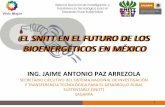 EL SNITT EN EL FUTURO DE LOS BIOENERGÉTICOS EN MÉXICO · 2008-10-10 · Ley de Promoción y Desarrollo de Bioenergéticos Promueve un mercado energético alternativo en México