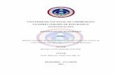 UNIVERSIDAD NACIONAL DE CHIMBORAZO INSTITUTO DE …dspace.unach.edu.ec/bitstream/51000/2374/1/UNACH-IPG-GEMP-2015-0019.pdf4.1 Fuerzas competitivas El modelo de las cinco fuerzas de