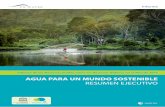 Informe de las Naciones Unidas sobre los recursos hídricos en el …biblioteca.cehum.org/bitstream/123456789/1224/1/Connor... · 2018-06-12 · Las consecuencias del crecimiento