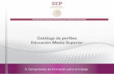 Catálogo de perfiles Educación Media Superior · 2019-09-04 · AUXILIAR LABORATORISTA CIENCIAS QUÍMICAS CIENCIAS DE LA SALUD DISCIPLINAS AUXILIARES PARA LA SALUD. Catálogo de