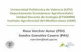 Rosa Vercher Aznar (PDI) Sandra González Cavero …...- Más de 25 años trabajando en entomología aplicada. -Gran experiencia en diseño de ensayos en campo/lab. -Expertos en análisis