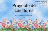 Proyecto de “Las flores” · 2017-06-15 · Situación desencadenante… •Aparece una jardinera para pedir ayuda a los niños y niñas de la clase; está triste porque le gustaría