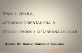 TEMA 1: CÉLULA. ACTIVIDAD ORIENTADORA 9. TÍTULO: LÍPIDOS …uvsfajardo.sld.cu/sites/uvsfajardo.sld.cu/files/lipidos... · 2016-06-17 · • Los lípidos son compuestos no polares