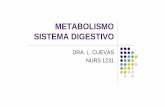 METABOLISMO SISTEMA DIGESTIVO - Intermetabolismo sistema digestivo dra. l. cuevas nurs 1231. metabolismo ldefinición lcatabolismo lanabolismo ... respiracion celular. glucolisis.