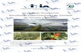 Resultados Experimentales en Sanidad de Tomate y …especies de Xanthomonas que afectan los cultivos de tomate en Uruguay mediante el uso de diferentes métodos moleculares. El cancro