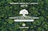 INFORME ANUAL DE LABORES 2019 Informe Anual de Labores LII. Asamblea de Delegados. Consejo de Administraci£³n