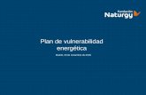 Plan de vulnerabilidad energética - Fundación Naturgy4 Plan de Vulnerabilidad Energética Naturgy, sensible a los problemas de la sociedad actual, trabaja desde 2014 para combatir