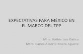 EXPECTATIVAS PARA MÉXICO EN EL MARCO DEL TPPcmas.siu.buap.mx/portal_pprd/work/sites/contaduria... · Agotamiento de recetas Keynesianas •A fínales de la década de los 70, la