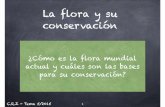 La flora y su conservación - Universidad de Sevillaasignatura.us.es/afloveg/Presentaciones-FVM/FVM05-Flora... · 2018-02-19 · Extinguidas Extinto (EX, extint) cuando no queda ninguna