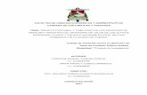 FACULTAD DE CIENCIAS ECONÓMICAS Y ADMINISTRATIVAS …dspace.ucuenca.edu.ec/bitstream/123456789/28263/1... · 2019-05-27 · facultad de ciencias econÓmicas y administrativas carrera