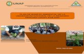 PLAN DE MANEJO AMBIENTAL DE LA …...que la incorporación de la perspectiva ambiental en la UNAP, se concretice. El Plan de Manejo Ambiental de la Universidad Nacional de la Amazonía
