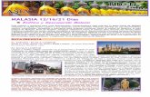 MALASIA 12/16/21 Días - Bidon 5 · 2019-03-05 · 3 En su interior tiene una pagoda de siete pisos conocida como la pagoda de los diez mil budas y con una enorme estatua dedicada
