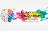 Hidrocefalia Neonatalneopuertomontt.com/USS/Pasada_Neonatologia/Reunion... · de todo el tejido cerebral irrigado por la circulación anterior Sin alteración circulación vertebro-basilar