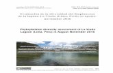 Evaluación de la diversidad del fitoplancton de la laguna ... · 1030 25 (3) Setiembre - Diciembre, 2018 Laura et al.: Evaluación de la diversidad del fitoplancton de la laguna