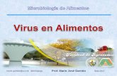Prof. Mario José Garrido Sept-2017saber.ucv.ve/bitstream/123456789/16774/1/Virus en...Orthohepevirus, Enterovirus, Alphacoronavirus, Erythroparvovirus, Mastadenovirus… Estos virus