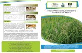 PROGRAA DE EORAIENTO CR-1821 GENTICO DE …El programa de mejoramiento genético de arroz en el INTA, tiene más de 40 años de experiencia. Entre sus aportes al sector arrocero destacan