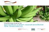 Medidas para la producción sostenible de banano · tipo de monitoreo a realizar, dependerá de los objetivos específicos que pretenda lograr la finca en éste ámbito, por lo que