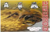 asociacionbalearapicultores.esasociacionbalearapicultores.es/wp-content/uploads/... · Esa imagen idílica del endulzante de las abejas que resbala lentamente por el dispensador,
