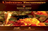 Universo Tucumano 32 - Bombus atratus (Molina) · 2019-07-29 · Huanquero o abejorro. El nombre huanquero (también puede encon-trarse como guanquero) deriva del quechua wanqóiro