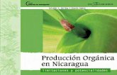 Producción Orgánica en Nicaragua - SIMAS- Servicio de ...simas.org.ni/media/1336489408_Produccion_organica_Nic.pdf · de personas, con un 80% de su población en condiciones de