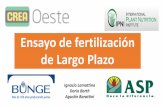 Ensayo de fertilización de Largo Plazo · 2016-05-17 · Objetivo: Hacer extensión sobre estrategias de fertilización en campos de productores CREA que sirvan para validar la información