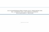 LA COOPERACIÓN PÚBLICO- PRIVADA EN EL CAMPO DE LAS ... · La cooperación público-privada en el campo de las adicciones: situación y retos 7 adicciones, el uso que se hace de