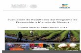 Evaluación de Resultados del Programa de Prevención y ... · C. Amado Martínez Castillo Representantes de los Productores en el Sector Agrícola MVZ. Alfonzo de Vega García Representantes