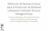 Obtención de Nuevas Enzimas para la Producción de ... · Obtención de Nuevas Enzimas para la Producción de Biodiesel y Bioetanol mediante Técnicas Metagenómicas Inés Loaces,
