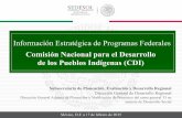 Comisión Nacional para el Desarrollo de los Pueblos Indígenas (CDI) · 2019-01-28 · de los Pueblos Indígenas (CDI) México, D.F. a 17 de febrero de 2015 ... Se destinará hasta