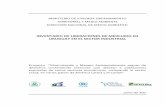 INVENTARIO DE LIBERACIONES DE MERCURIO EN URUGUAY EN … · 2017-03-20 · Como puede verse, el uso intencional de mercurio en procesos industriales, vinculado a la industria de cloro-soda